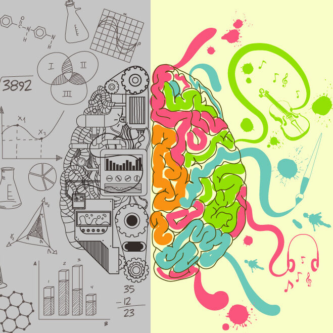 Brain