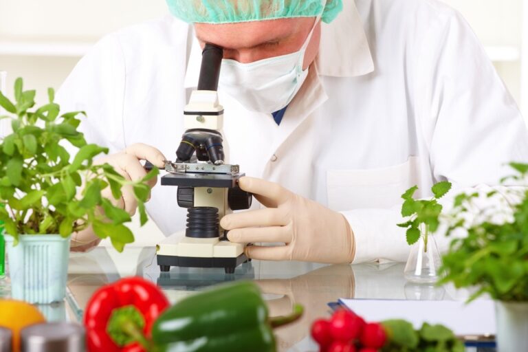 อุตสาหกรรมเกษตร