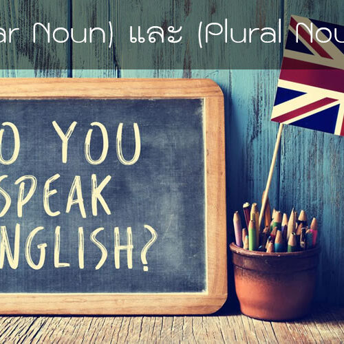 (Singular Noun) และคำนามพหูพจน์ (Plural Noun)