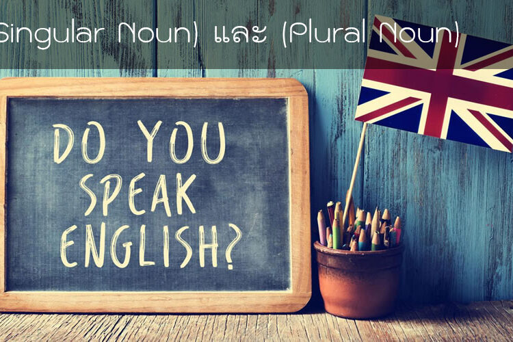 (Singular Noun) และคำนามพหูพจน์ (Plural Noun)