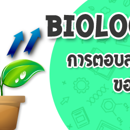 การตอบสนองของพืช