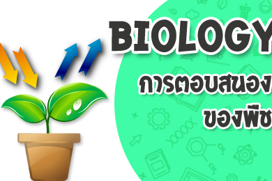 การตอบสนองของพืช