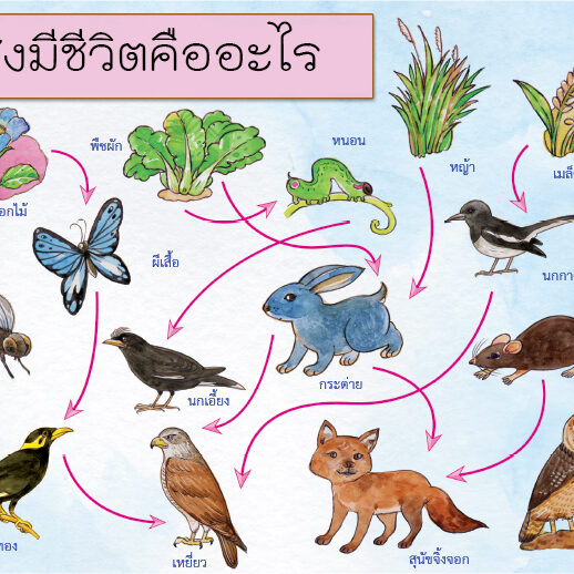 สิ่งมีชีวิตคืออะไร