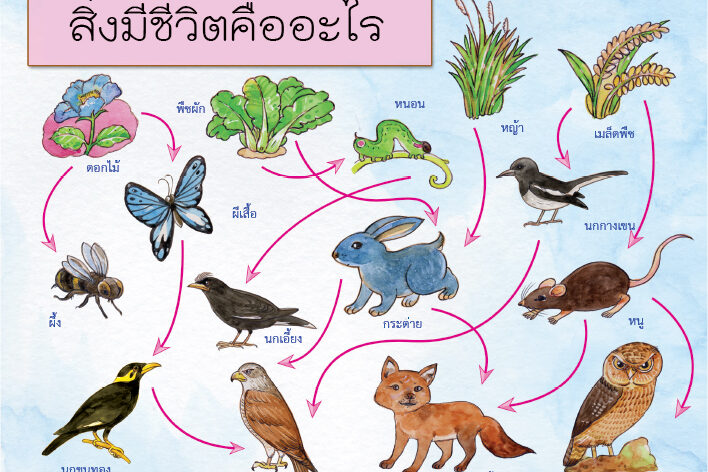 สิ่งมีชีวิตคืออะไร