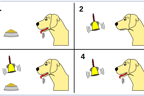การวางเงื่อนไขเงื่อนไขแบบดั้งเดิมกับสุนัขด้วยวิธีการของพาร์พลอฟ