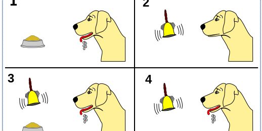 การวางเงื่อนไขเงื่อนไขแบบดั้งเดิมกับสุนัขด้วยวิธีการของพาร์พลอฟ