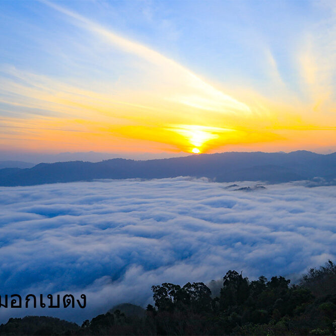 ทะเลหมอกเบตง