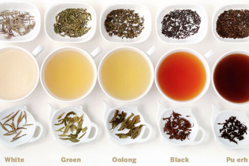 ประเภทของชา
