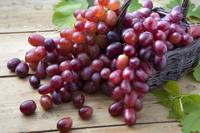 Red-Grapes