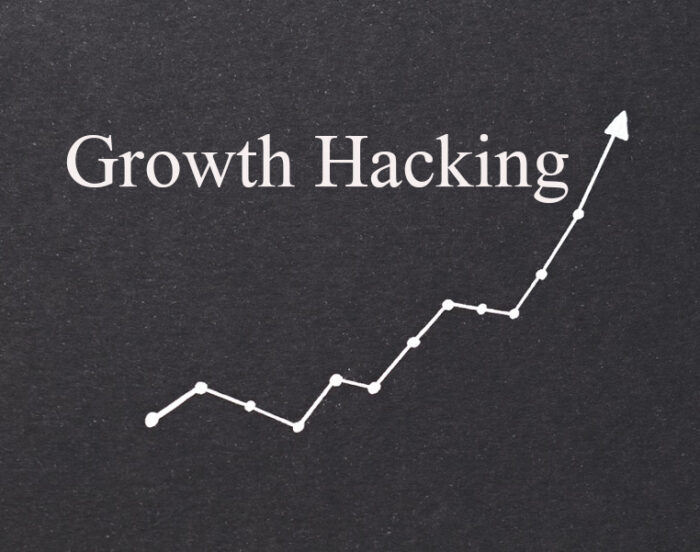 ceo-growth-hacking