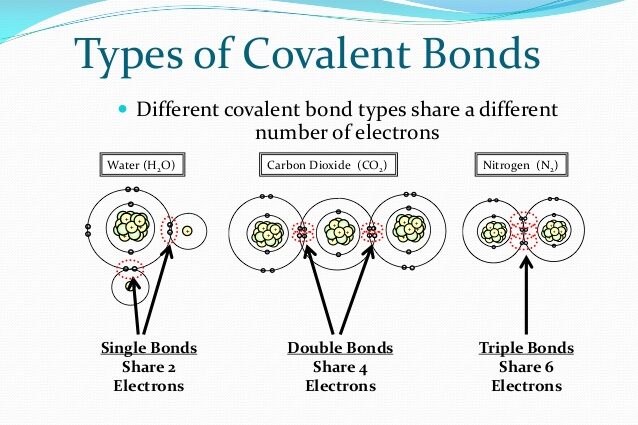 Covalent bond)