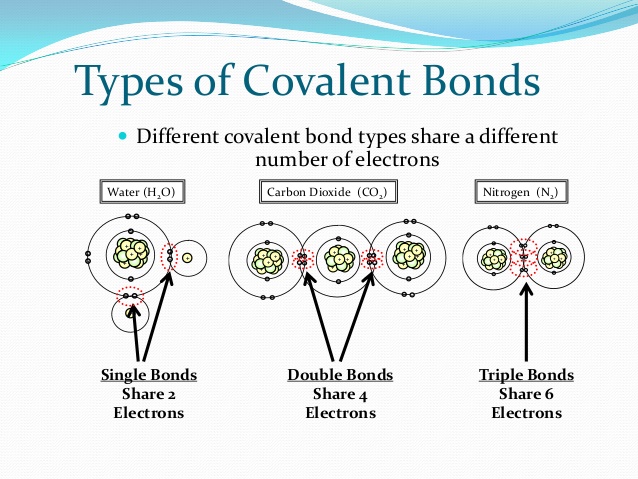 Covalent bond)