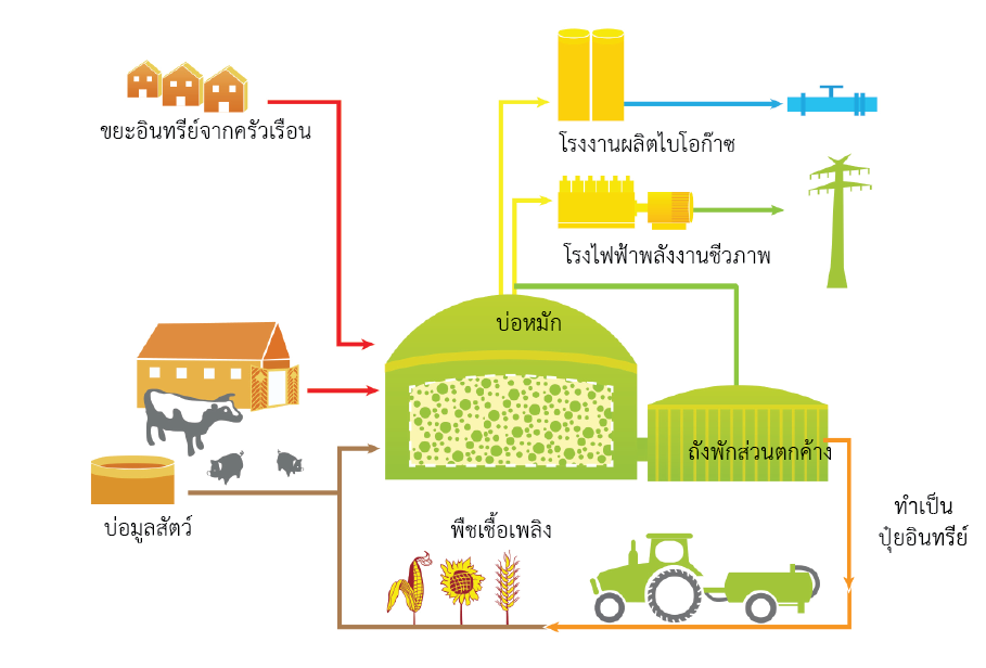 พลังงานสีเขียว Green Energy‎ ชีวมวล (Biomass) – Tuemaster เรียนออนไลน์