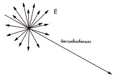โพลาไรเซชันของคลื่นแม่เหล็กไฟฟ้า