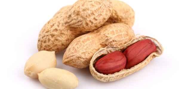 อันตรายจากถั่วลิสง