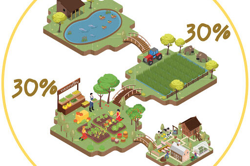 เกษตรผสมผสาน