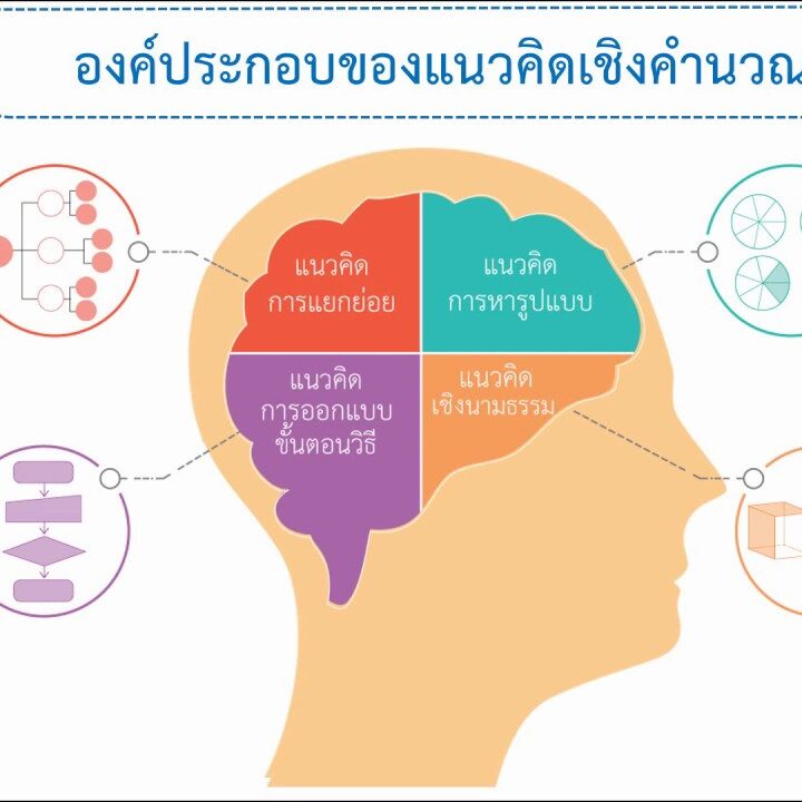 Brain