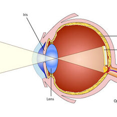 VisionWork