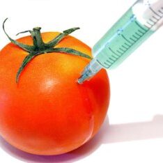 blog-image-gmfoods-small
