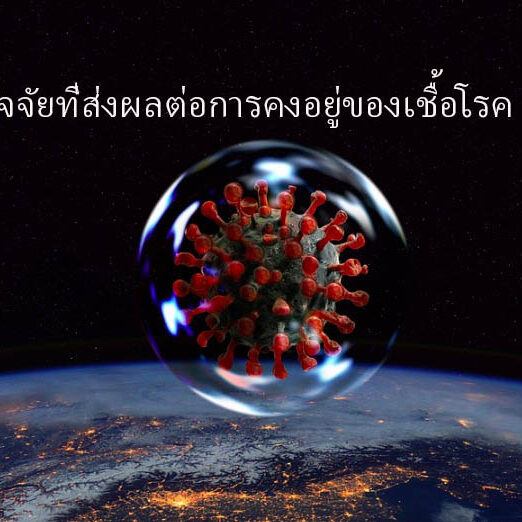 ปัจจัยที่ส่งผลต่อการคงอยู่ของเชื้อโรค