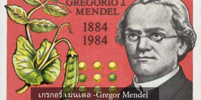 เกรกอร์ เมนเดล-Gregor Mendel