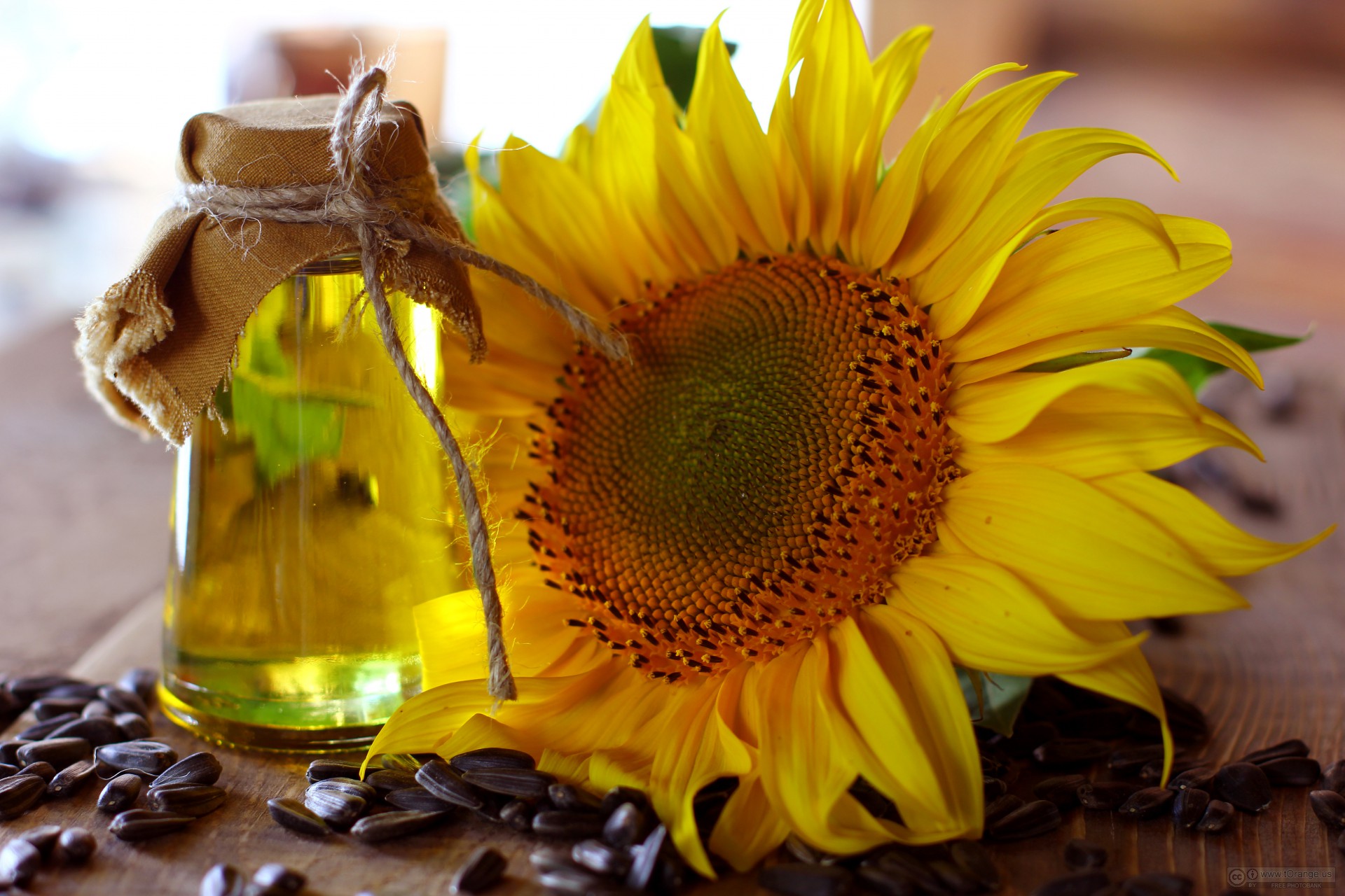  Sunflower Oil Tuemaster 