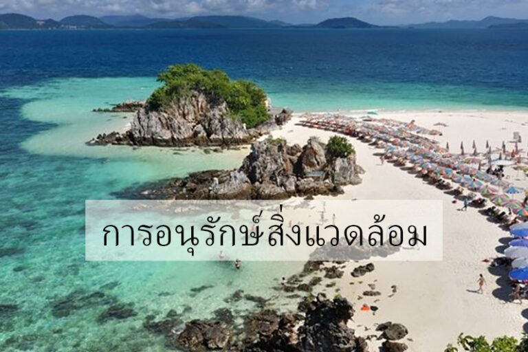 การอนุรักษ์สิ่งแวดล้อม