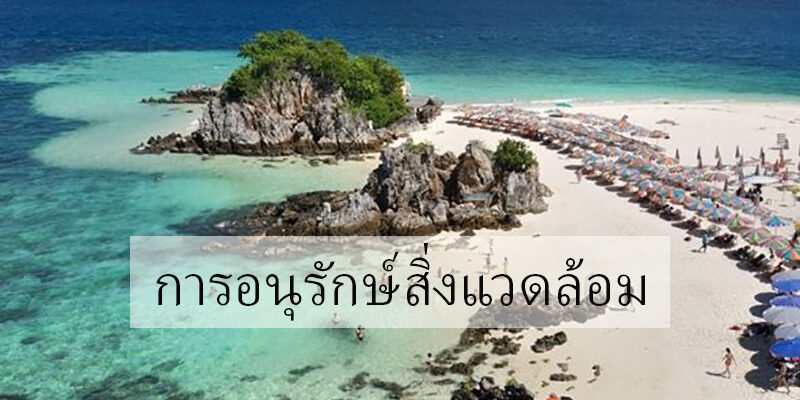 การอนุรักษ์สิ่งแวดล้อม