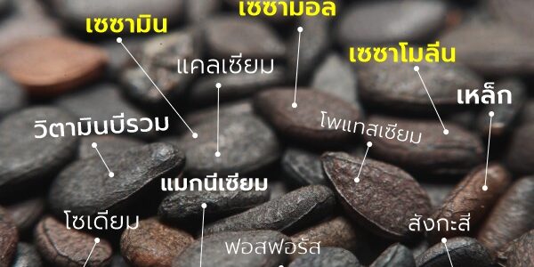 ประโยชน์จากงาดำ