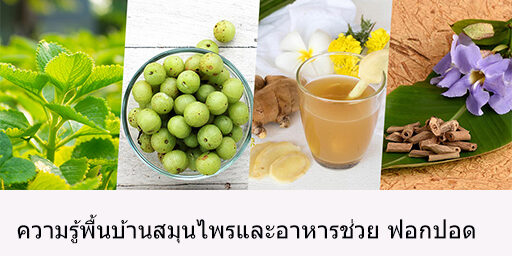 ความรู้พื้นบ้านสมุนไพรและอาหารช่วย ฟอกปอด