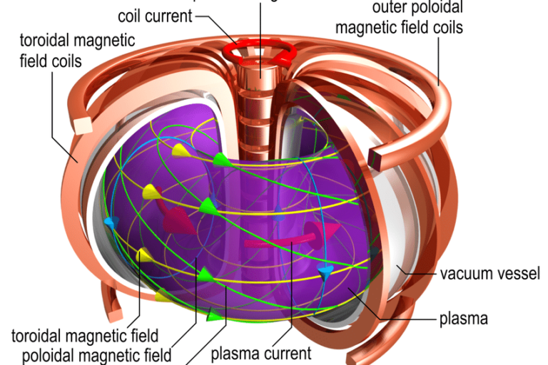 นิวเคลียร์ฟิว