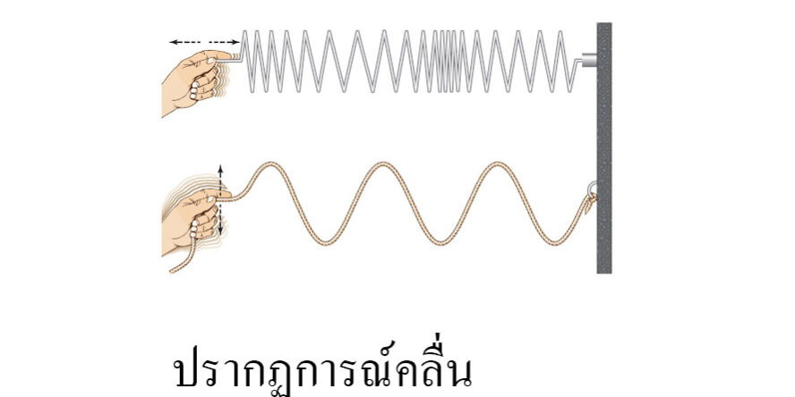 ปรากฏการณ์คลื่น