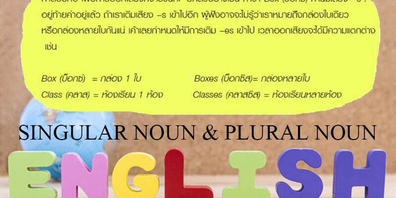 คำนามเอกพจน์ (Singular Noun) และคำนามพหูพจน์ (Plural Noun) ภาษาอังกฤษ  ม.ปลาย – Tuemaster เรียนออนไลน์ ม.ปลาย