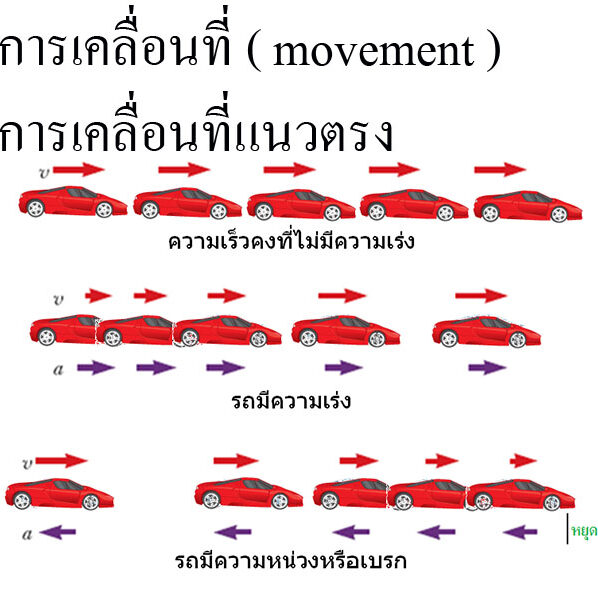 การเคลื่อนที่ ( movement ) การเคลื่อนที่แนวตรง
