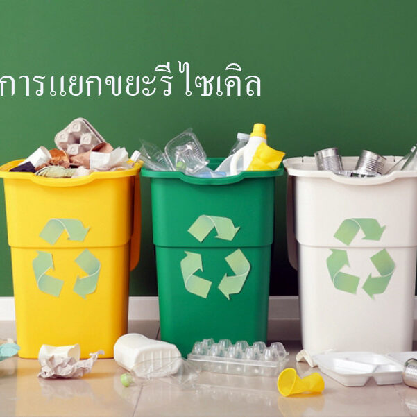 การแยกขยะรีไซเคิล