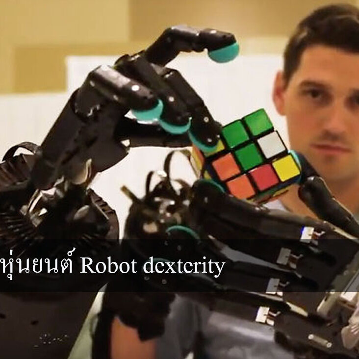 หุ่นยนต์ Robot dexterity