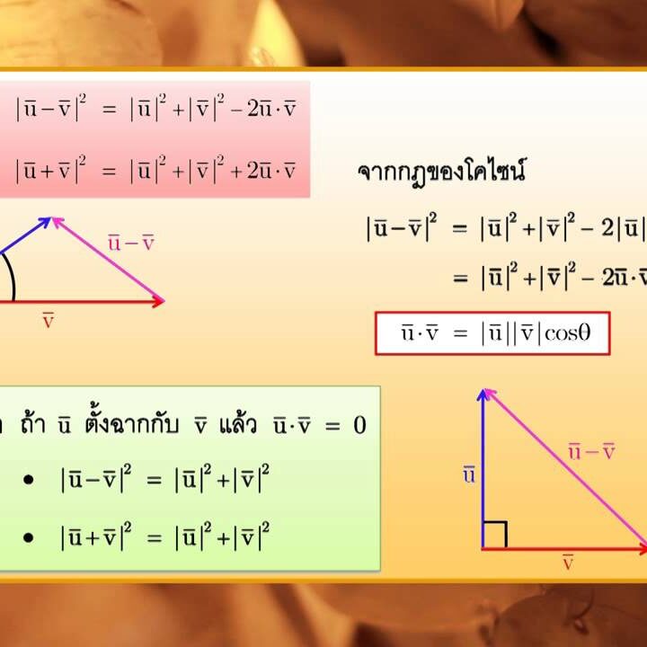 เวกเตอร์