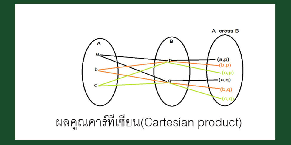 ผลคูณคาร์ทีเซียน(Cartesian product)
