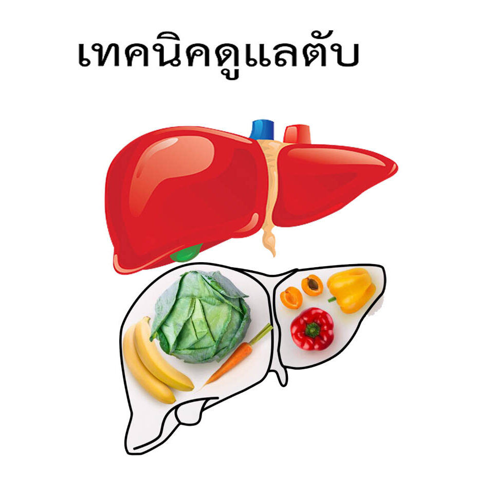 สุดยอดอาหารบำรุงตับ มีอะไรบ้าง