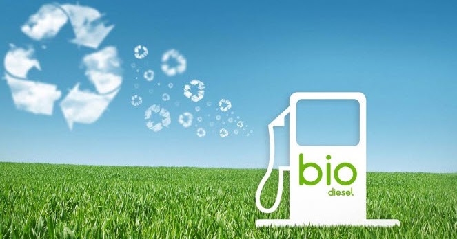 Biodiesel Biodiesel