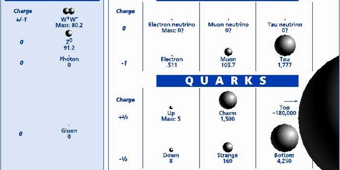 elementary_particles