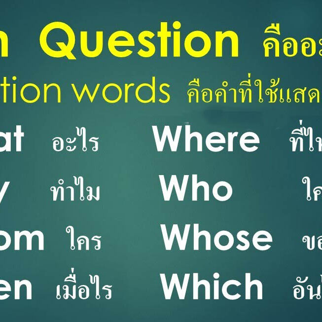 การใช้ Which ใช้อย่างไร