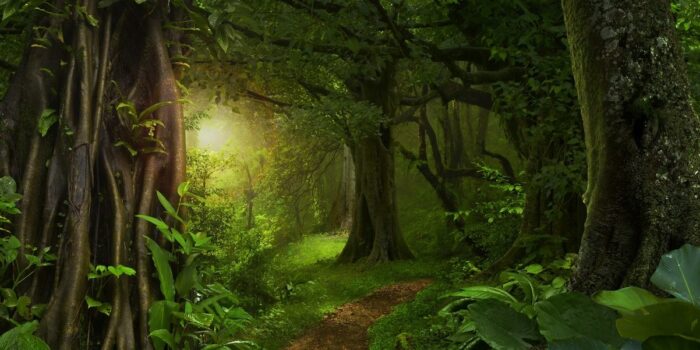 ความสำคัญของทรัพยากรธรรมชาติ ทรัพยากรธรรมชาติเป็นองค์ประกอบที่สำคัญยิ่งในชีวมณฑล (Biosphere) หรือระบบนิเวศของโลก ซึ่งสร้างปฏิสัมพันธ์ที่แสนสลับซับซ้อนระหว่างสิ่งมีชีวิตและสิ่งแวดล้อม โดยที่มนุษย์ยังได้รับผลประโยชน์อย่างมากมายมหาศาลจากความสัมพันธ์ดังกล่าว มนุษย์นำทรัพยากรธรรมชาติมาใช้ในการดำรงชีวิตและพัฒนาความเป็นอยู่ของตนเอง เช่น แหล่งอาหาร น้ำและยารักษาโลก (Food and Medicine) รวมไปถึงผลผลิตทางการเกษตรและทรัพยากรทางทะเล เช่น ปลาน้ำจืด ปลาน้ำเค็ม ธัญพืช สมุนไพร และน้ำสะอาดที่ถูกใช้ในการอุปโภคบริโภคของมนุษย์ ที่อยู่อาศัย (Housing and infrastructure) ไม่ว่าจะเป็นตึก อาคาร บ้านเรือน ถนน และสะพานต่างๆ ล้วนสร้างขึ้นจากการนำวัตถุดิบหรือทรัพยากรทางธรรมชาติมาใช้ประโยชน์ เช่น ไม้ เหล็ก กระจก และพลาสติก การเดินทาง (Mobility) ทั้งบนบก ในน้ำ หรือในอากาศ ล้วนเกิดขึ้นจากการนำพลังงานธรรมชาติมาใช้ พลังงานจากการแปรรูปของทรัพยากรธรรมชาติ โดยเฉพาะพลังงานจากเชื้อเพลิงฟอสซิล (Fossil Fuel)