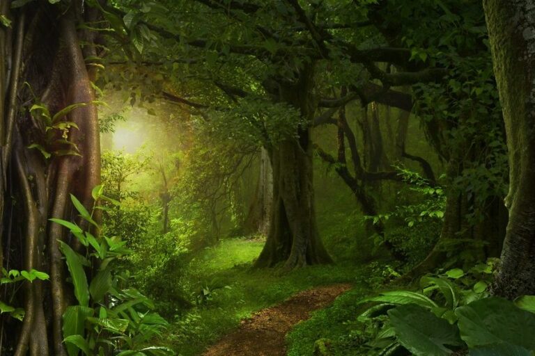 ความสำคัญของทรัพยากรธรรมชาติ ทรัพยากรธรรมชาติเป็นองค์ประกอบที่สำคัญยิ่งในชีวมณฑล (Biosphere) หรือระบบนิเวศของโลก ซึ่งสร้างปฏิสัมพันธ์ที่แสนสลับซับซ้อนระหว่างสิ่งมีชีวิตและสิ่งแวดล้อม โดยที่มนุษย์ยังได้รับผลประโยชน์อย่างมากมายมหาศาลจากความสัมพันธ์ดังกล่าว มนุษย์นำทรัพยากรธรรมชาติมาใช้ในการดำรงชีวิตและพัฒนาความเป็นอยู่ของตนเอง เช่น แหล่งอาหาร น้ำและยารักษาโลก (Food and Medicine) รวมไปถึงผลผลิตทางการเกษตรและทรัพยากรทางทะเล เช่น ปลาน้ำจืด ปลาน้ำเค็ม ธัญพืช สมุนไพร และน้ำสะอาดที่ถูกใช้ในการอุปโภคบริโภคของมนุษย์ ที่อยู่อาศัย (Housing and infrastructure) ไม่ว่าจะเป็นตึก อาคาร บ้านเรือน ถนน และสะพานต่างๆ ล้วนสร้างขึ้นจากการนำวัตถุดิบหรือทรัพยากรทางธรรมชาติมาใช้ประโยชน์ เช่น ไม้ เหล็ก กระจก และพลาสติก การเดินทาง (Mobility) ทั้งบนบก ในน้ำ หรือในอากาศ ล้วนเกิดขึ้นจากการนำพลังงานธรรมชาติมาใช้ พลังงานจากการแปรรูปของทรัพยากรธรรมชาติ โดยเฉพาะพลังงานจากเชื้อเพลิงฟอสซิล (Fossil Fuel)