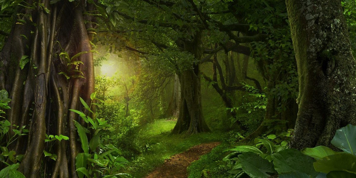 ความสำคัญของทรัพยากรธรรมชาติ ความสำคัญของทรัพยากรธรรมชาติ ทรัพยากรธรรมชาติเป็นองค์ประกอบที่สำคัญยิ่งในชีวมณฑล (Biosphere) หรือระบบนิเวศของโลก ซึ่งสร้างปฏิสัมพันธ์ที่แสนสลับซับซ้อนระหว่างสิ่งมีชีวิตและสิ่งแวดล้อม โดยที่มนุษย์ยังได้รับผลประโยชน์อย่างมากมายมหาศาลจากความสัมพันธ์ดังกล่าว มนุษย์นำทรัพยากรธรรมชาติมาใช้ในการดำรงชีวิตและพัฒนาความเป็นอยู่ของตนเอง เช่น แหล่งอาหาร น้ำและยารักษาโลก (Food and Medicine) รวมไปถึงผลผลิตทางการเกษตรและทรัพยากรทางทะเล เช่น ปลาน้ำจืด ปลาน้ำเค็ม ธัญพืช สมุนไพร และน้ำสะอาดที่ถูกใช้ในการอุปโภคบริโภคของมนุษย์ ที่อยู่อาศัย (Housing and infrastructure) ไม่ว่าจะเป็นตึก อาคาร บ้านเรือน ถนน และสะพานต่างๆ ล้วนสร้างขึ้นจากการนำวัตถุดิบหรือทรัพยากรทางธรรมชาติมาใช้ประโยชน์ เช่น ไม้ เหล็ก กระจก และพลาสติก การเดินทาง (Mobility) ทั้งบนบก ในน้ำ หรือในอากาศ ล้วนเกิดขึ้นจากการนำพลังงานธรรมชาติมาใช้ พลังงานจากการแปรรูปของทรัพยากรธรรมชาติ โดยเฉพาะพลังงานจากเชื้อเพลิงฟอสซิล (Fossil Fuel)