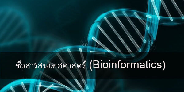 ชีวสารสนเทศศาสตร์ (Bioinformatics)