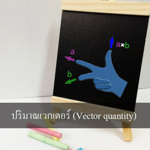 ปริมาณเวกเตอร์ (Vector quantity)