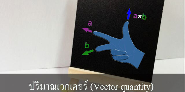 ปริมาณเวกเตอร์ (Vector quantity)