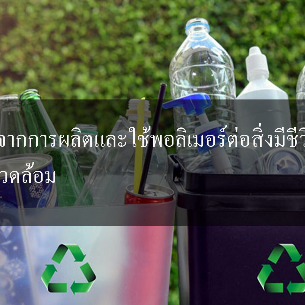ผลที่เกิดจากการผลิตและใช้พอลิเมอร์ต่อสิ่งมีชีวิตและสิ่งแวดล้อม