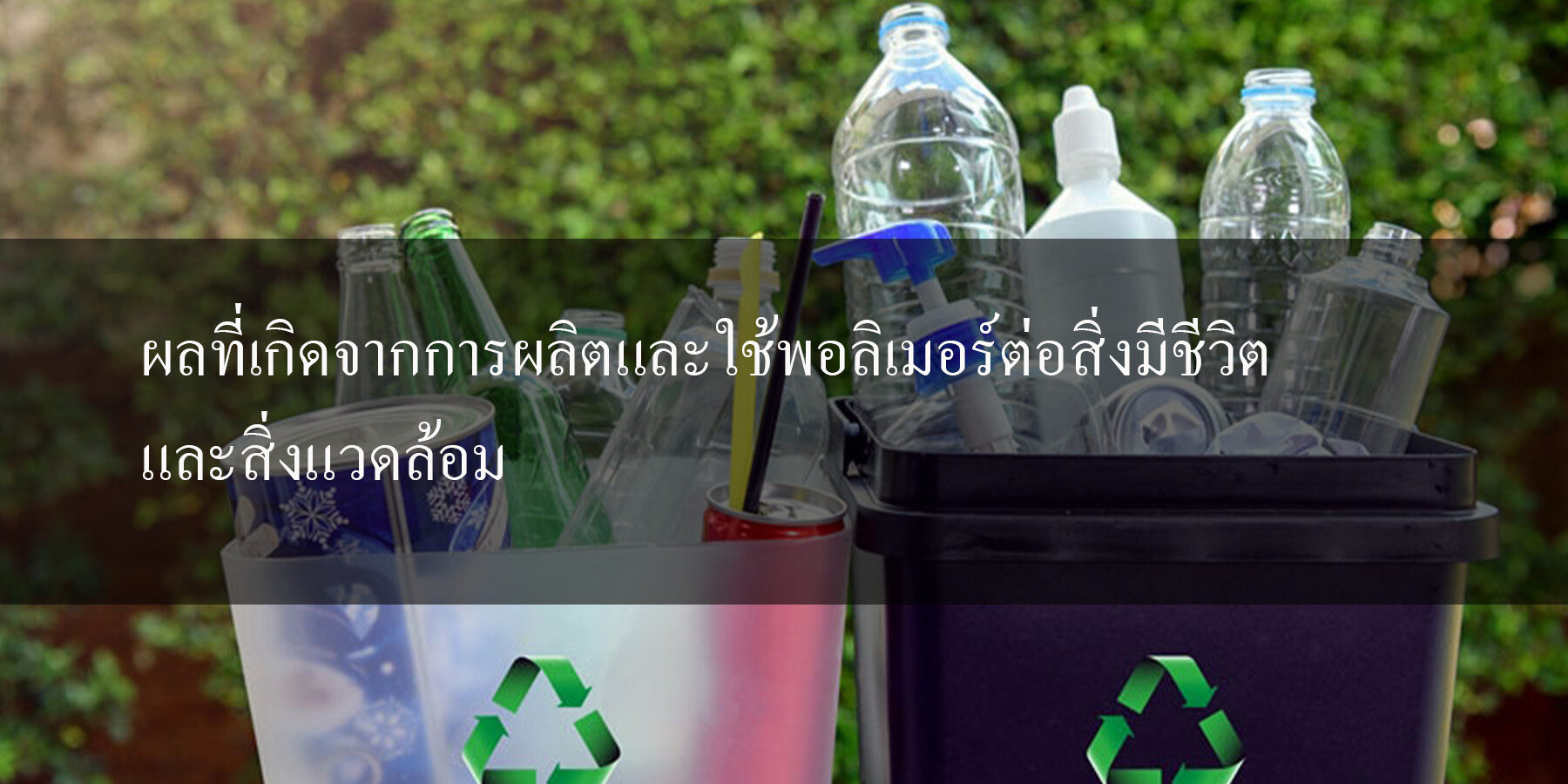 ผลที่เกิดจากการผลิตและใช้พอลิเมอร์ต่อสิ่งมีชีวิตและสิ่งแวดล้อม